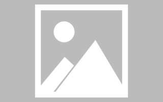 临邑网页设计英文默认字体（网页设置英文转换中文）